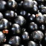 Acai Beere