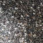 Chia Samen